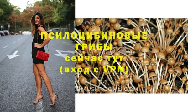 соль ск Краснотурьинск