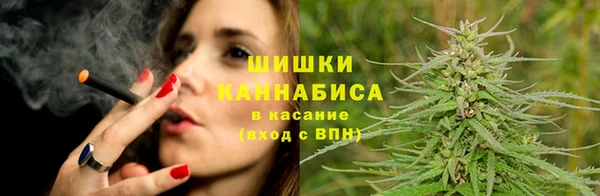 гидра Краснослободск