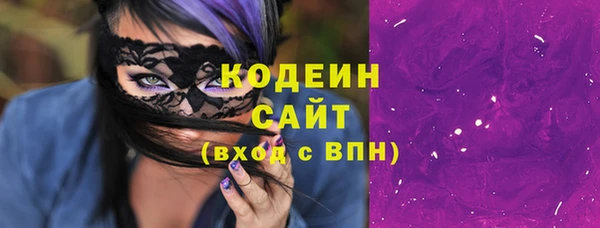 твердый Козельск