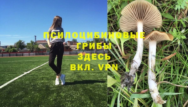 гашишное масло Кукмор
