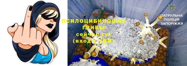 бошки Кулебаки