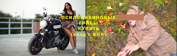 гидра Краснослободск