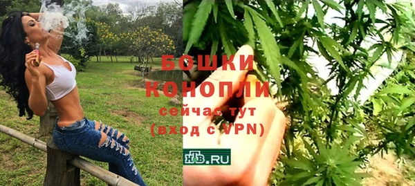 гидра Краснослободск