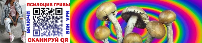 ОМГ ОМГ как войти  Среднеколымск  Галлюциногенные грибы MAGIC MUSHROOMS 